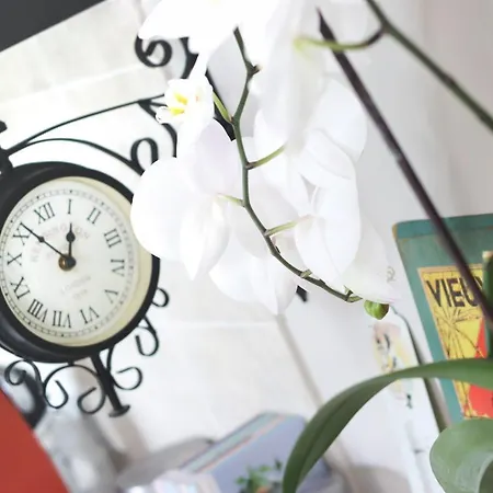 Lauriers Splendide Provencale Charming With Jacuzzi At 200m From Beaches Of Juan Villa Antibes