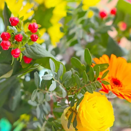 Lauriers Splendide Provencale Charming With Jacuzzi At 200m From Beaches Of Juan * أنتيب